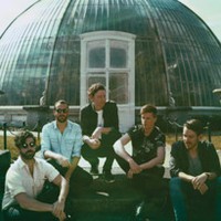 foals